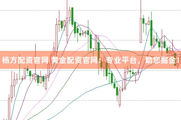 杨方配资官网 黄金配资官网：专业平台，助您掘金！