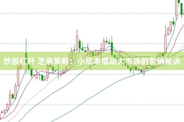 炒股杠杆 芝麻策略：小成本撬动大市场的营销秘诀