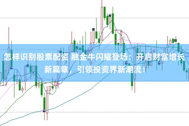 怎样识别股票配资 融金牛闪耀登场：开启财富增长新篇章，引领投资界新潮流！