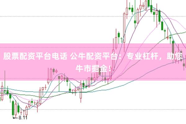股票配资平台电话 公牛配资平台：专业杠杆，助您牛市掘金！