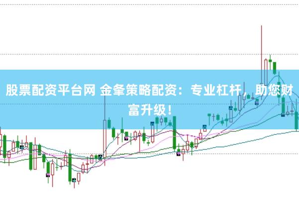 股票配资平台网 金夆策略配资：专业杠杆，助您财富升级！