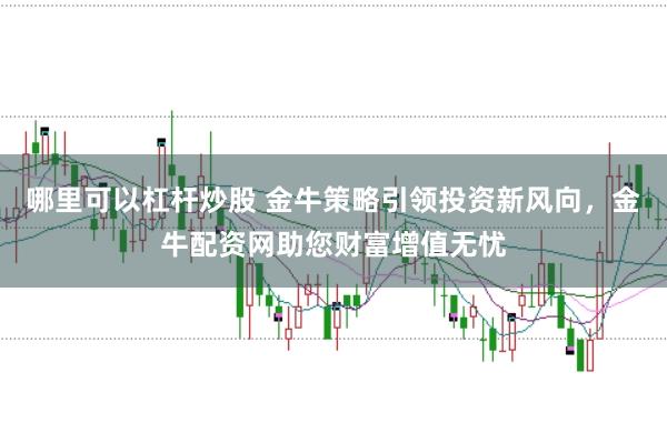 哪里可以杠杆炒股 金牛策略引领投资新风向，金牛配资网助您财富增值无忧