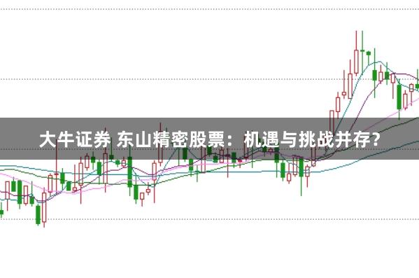 大牛证券 东山精密股票：机遇与挑战并存？