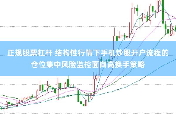 正规股票杠杆 结构性行情下手机炒股开户流程的仓位集中风险监控面向高换手策略
